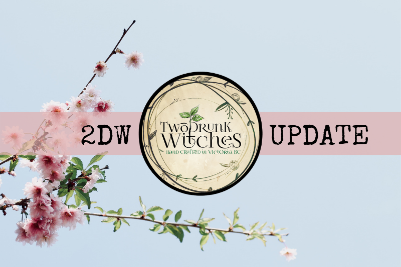 2DW Update: Spring 2019